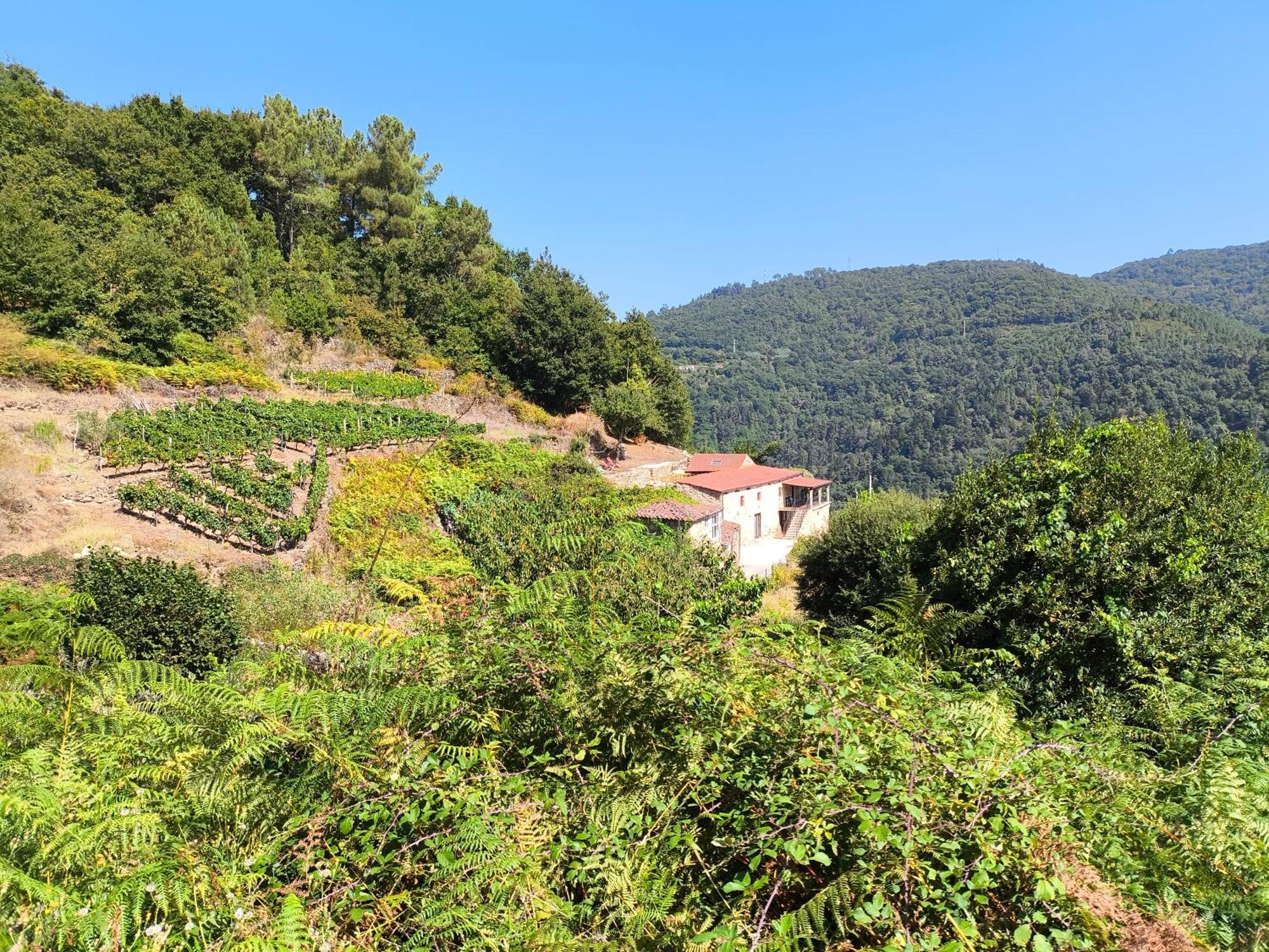 Xiravai-Ribeira Sacra Βίλα Peares Εξωτερικό φωτογραφία