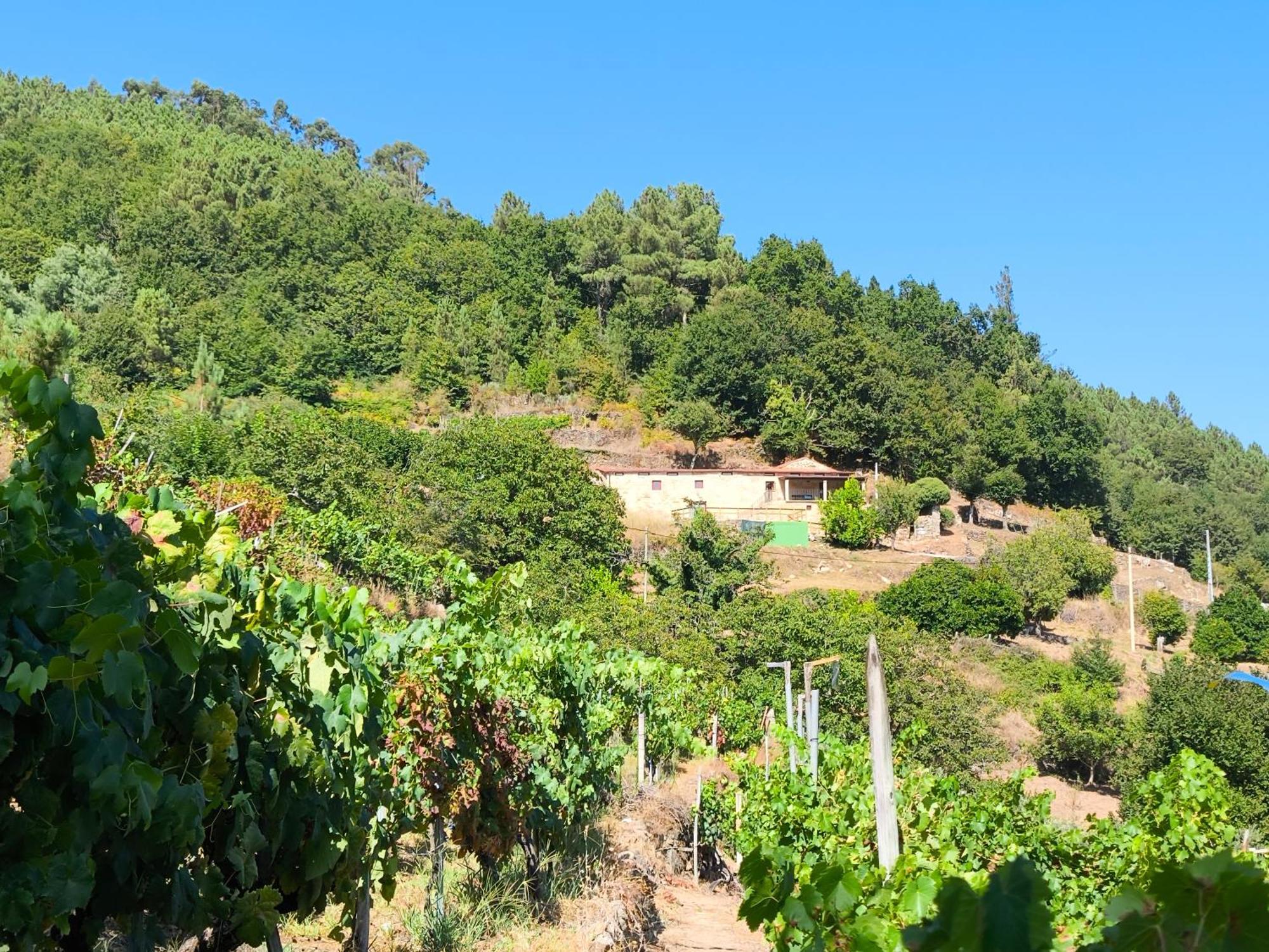 Xiravai-Ribeira Sacra Βίλα Peares Εξωτερικό φωτογραφία